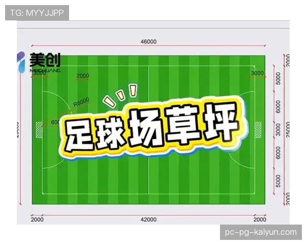 足球场馆广告合规审批流程电子化平台上线，足球场地广告